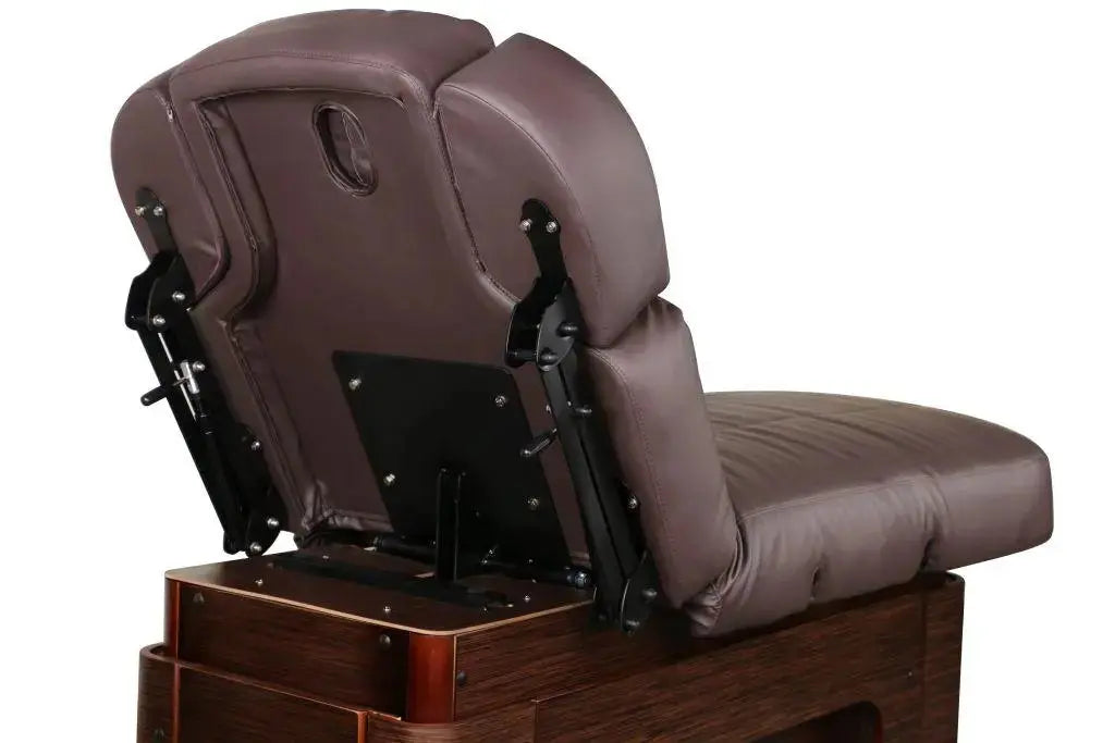 Sonia elektrische Spa und Wellnessliege Eris, braun, Rueckansciht