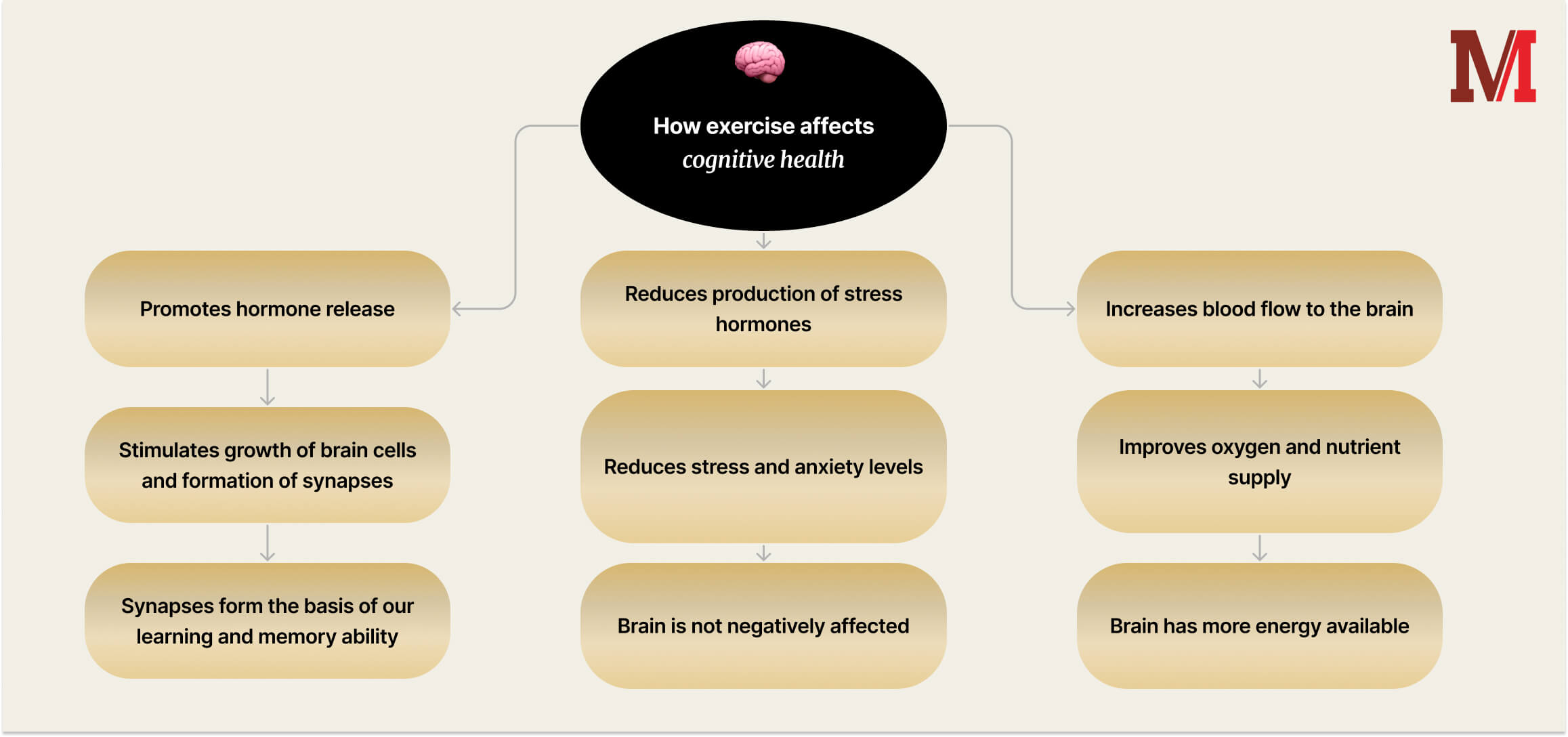 Brain_Boosting4